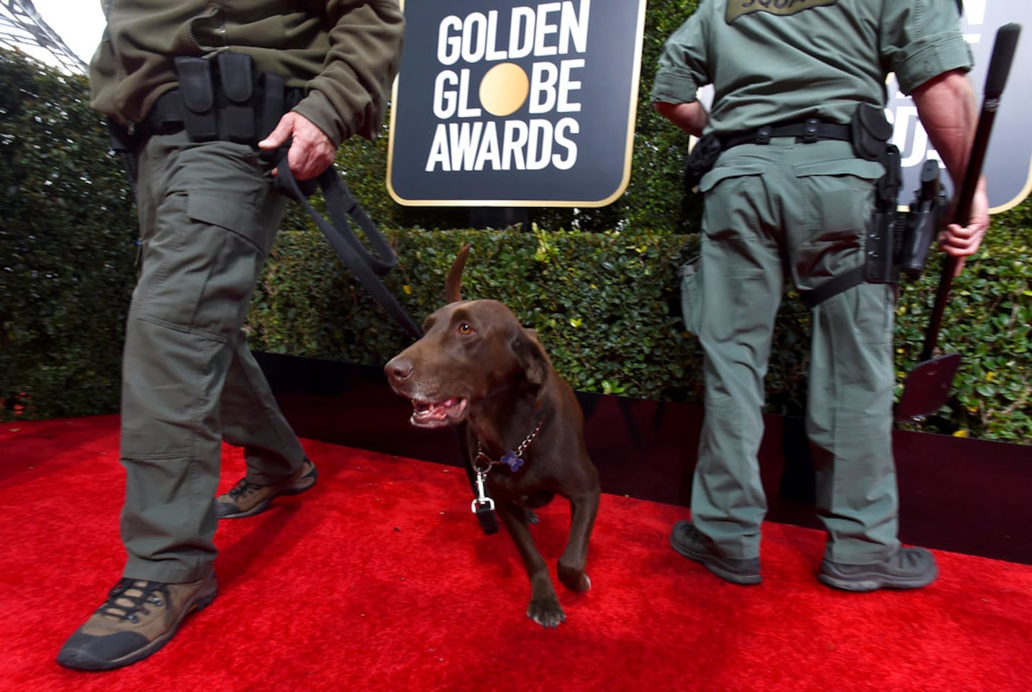 2019 golden globes red carpet