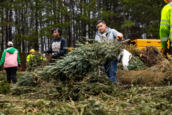 Volunteers haul trees during Gwinnett Clean & Beautiful's Bring One for the Chipper event in January 2024. Courtesy of Gwinnett County