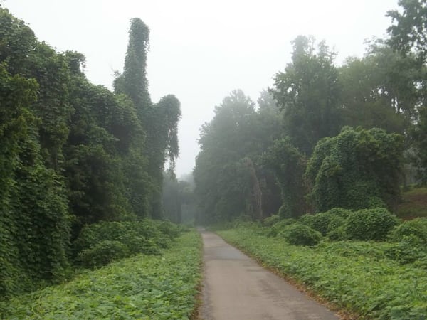 The Tanglefoot Trail is located in the foothills of the Appalachian Mountains. 
(Courtesy of GM&O Rails to Trails District)