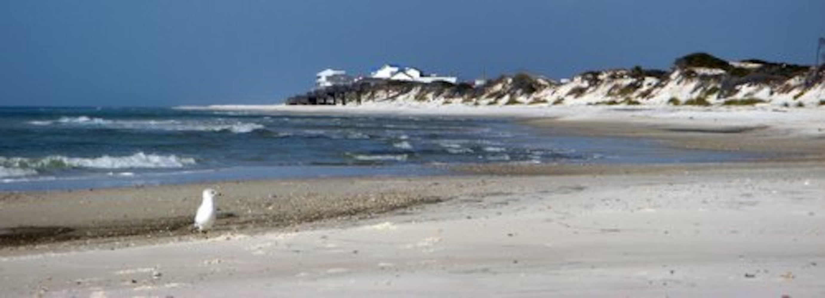 Beaches: Port St. Joe and Cape San Blas, Florida