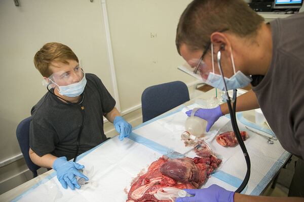 Georgia Institute of EMS student Alexander Horton of Lawrenceville (left) talks with his peer, Alex Wright of Jefferson (right), as they take turns listening to the lungs of a pig during a hands on lab exercise. Students directed the heart and lungs of a pig.(Alyssa Pointer/alyssa.pointer@ajc.com)