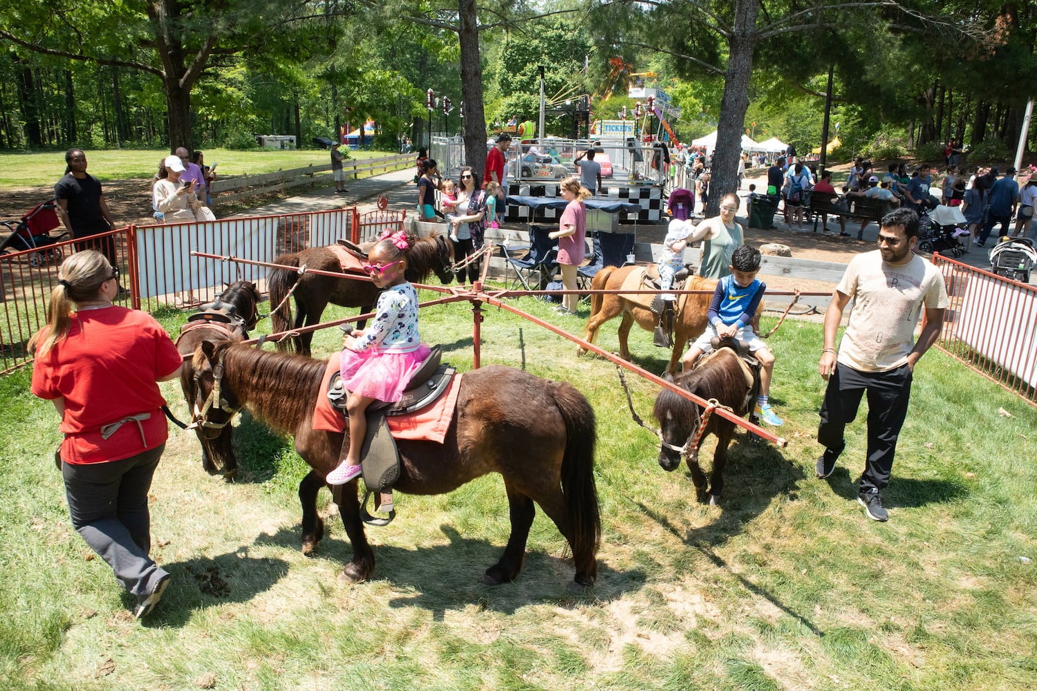 PHOTOS: Lemonade Days Festival 2019