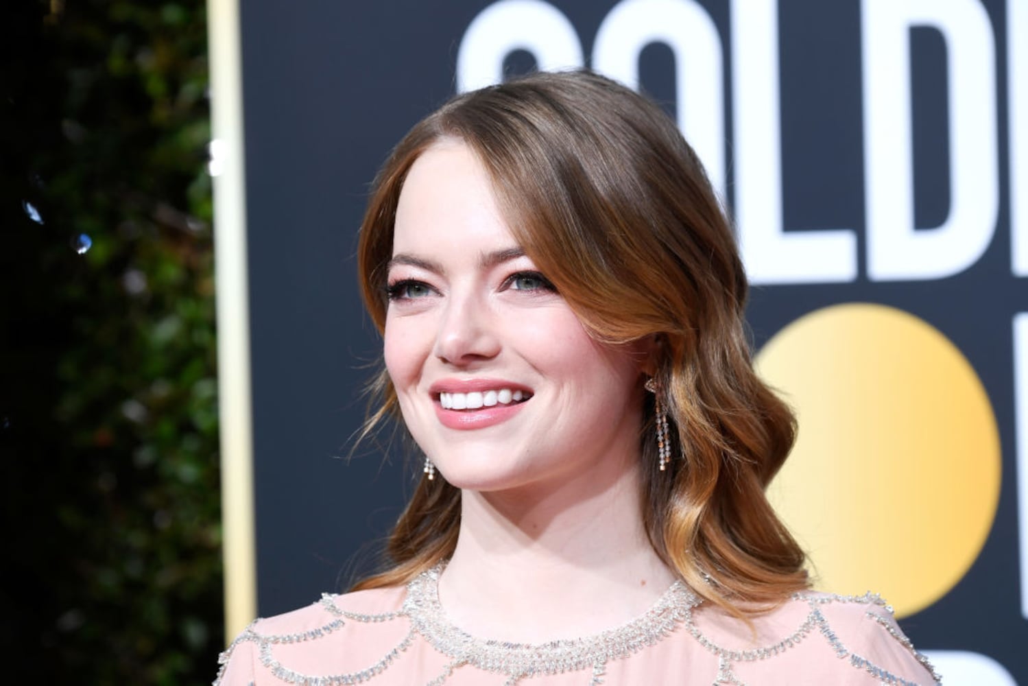 Photos: 2019 Golden Globes red carpet