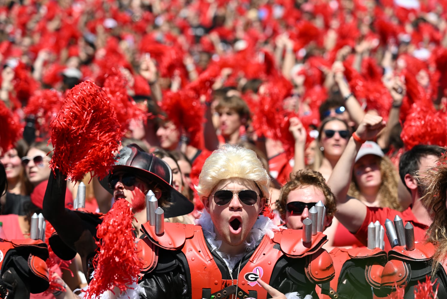 Georgia vs Auburn football