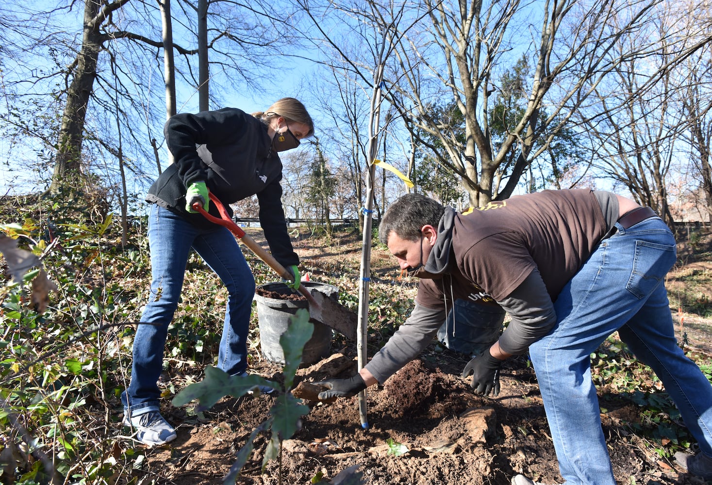 300 trees planted at Freedom Park to honor John Lewis