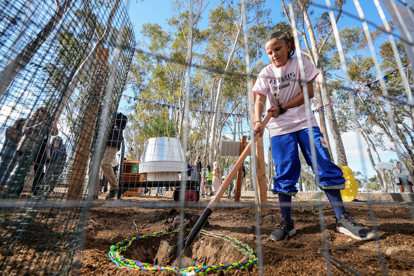 Student Emily Aguesse, 11, helps to clear a hole to plant a small Giant Sequoia tree from NASA's Artemis I Mission's tree seeds that traveled around the moon twice is delivered at the Santiago STEAM Magnet Elementary School grounds, after it was honored in the spring of 2024 to become NASA Moon Tree Stewards in Lake Forest, Calif., on Monday, Oct. 14, 2024. (AP Photo/Damian Dovarganes)