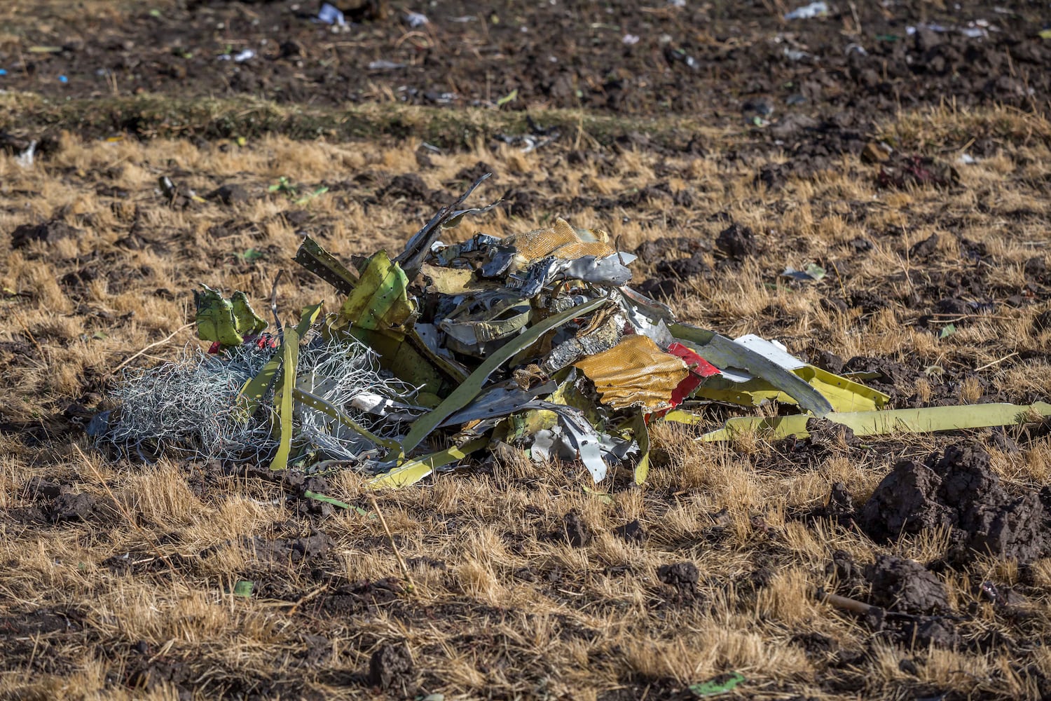 Ethiopian Airlines crash