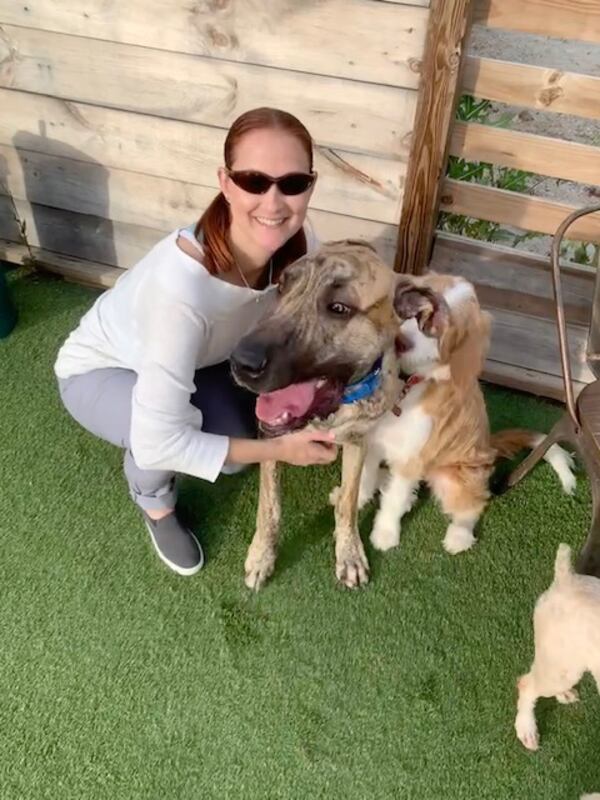 Atlanta Homicide Detective Summer Benton pets her Labradoodle, Willa, and Willa’s much larger pal at Fetch Park. 
(Courtesy of Summer Benton.)