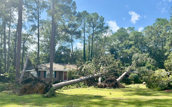 A tree toppled over a house in Dublin, killing a 58-year-old man.