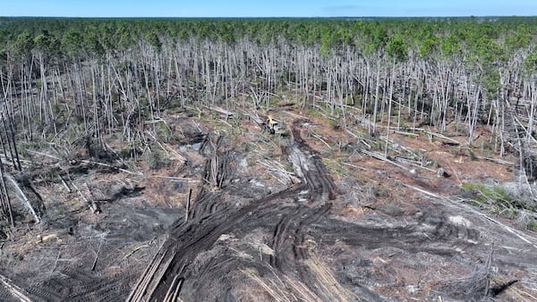 Hurricane Helene slashed the value of timber on land owned by Jake and Lana Hilderbrand in Jeff Davis County by roughly 60%. (Miguel Martinez/AJC)