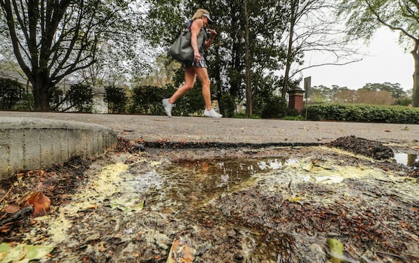 Renee Houle walks past a pool of pollen that gathered along Lionel Lane on March 28, 2017. Pollen seasons have been starting earlier in recent decades, a trend that is expected to continue as the climate changes, a new study shows. 