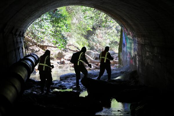 Officials with the Georgia Department of Natural Resources leave a culvert after checking bats for signs of white-nose syndrome in northeast Georgia, Wednesday, December. 6, 2023.  (Jason Getz / Jason.Getz@ajc.com)