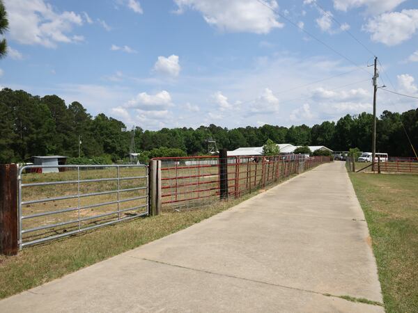 Police in Johnson County say they had suspicions about The King’s Cleft, whose main driveway is shown here, because teenagers living on the farm kept running away. After being sent back, they would run away again. A former sheriff said it eased his mind, though, after the GBI was asked to look into abuse allegations in 2014, then dropped the case without taking action. (Tyson Horne / Tyson.Horne@ajc.com)