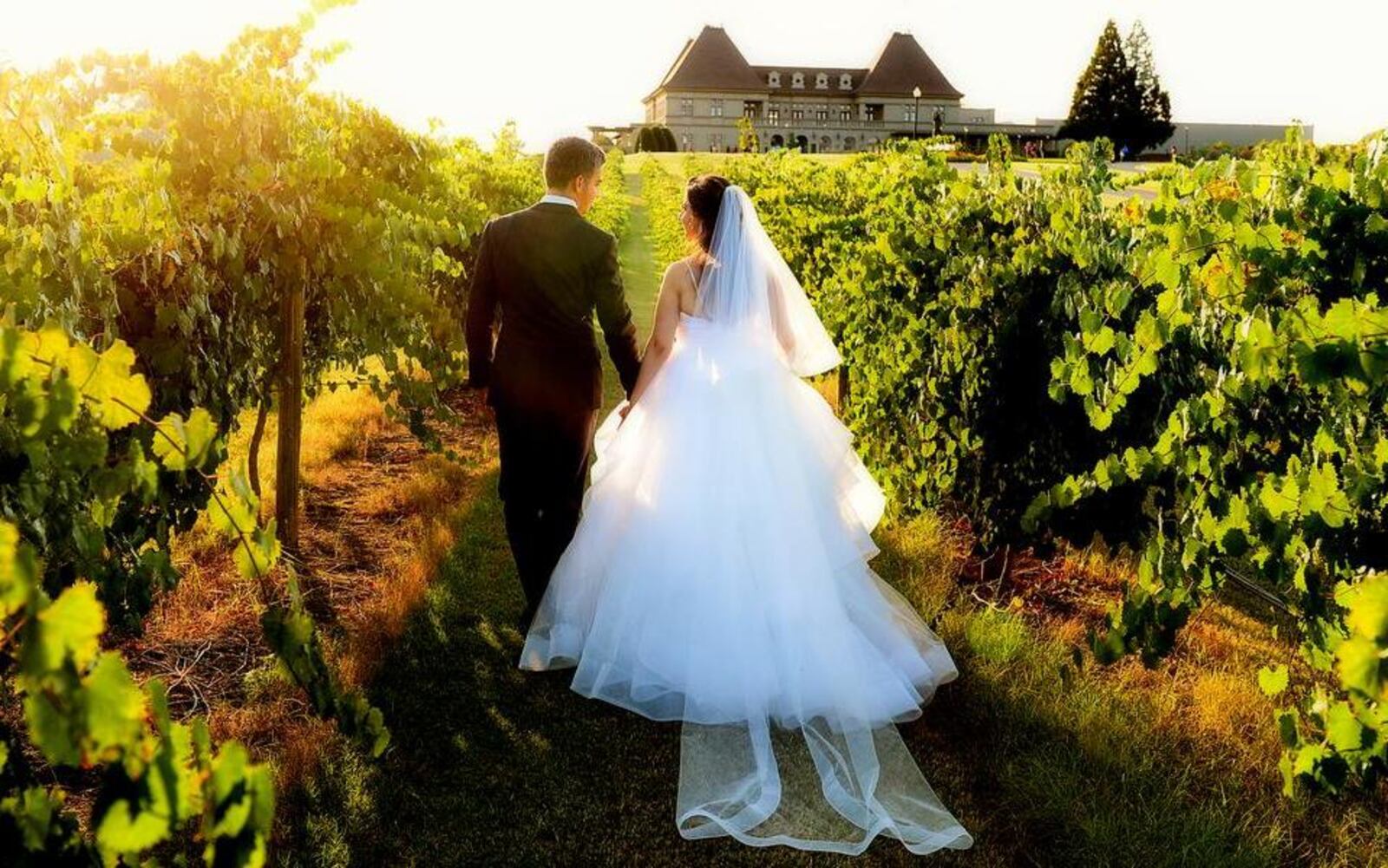 Château Élan Winery and Resort is a beautiful location for an outdoor wedding.