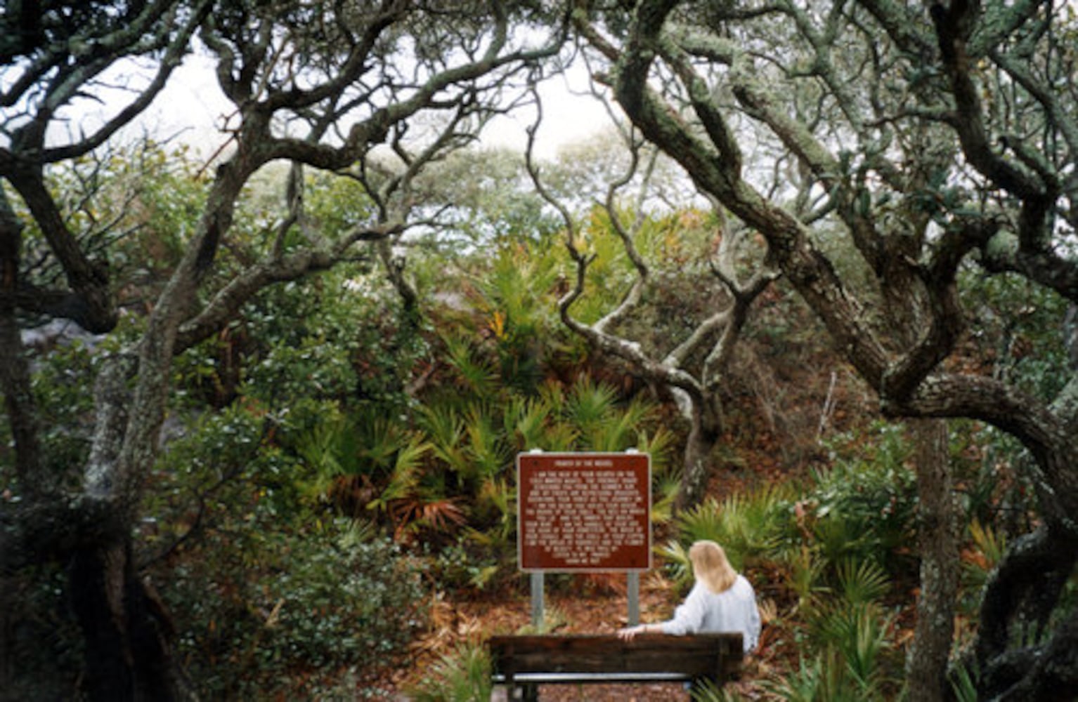 Beaches near Atlanta: Grayton Beach, Florida