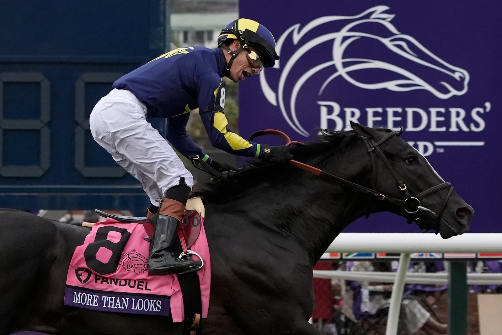 Jose Ortiz reacts after riding More Than Looks to victory in the Breeders' Cup Mile horse race in Del Mar, Calif., Saturday, Nov. 2, 2024. (AP Photo/Gregory Bull)