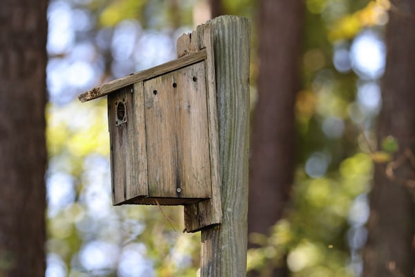 Gene Neal built dozens of birdhouses for Cobblestone Golf Club.  Neal, a former employee of the golf club, has been building and maintaining birdhouses throughout the course for nearly 25 years. (Natrice Miller/ Natrice.miller@ajc.com)