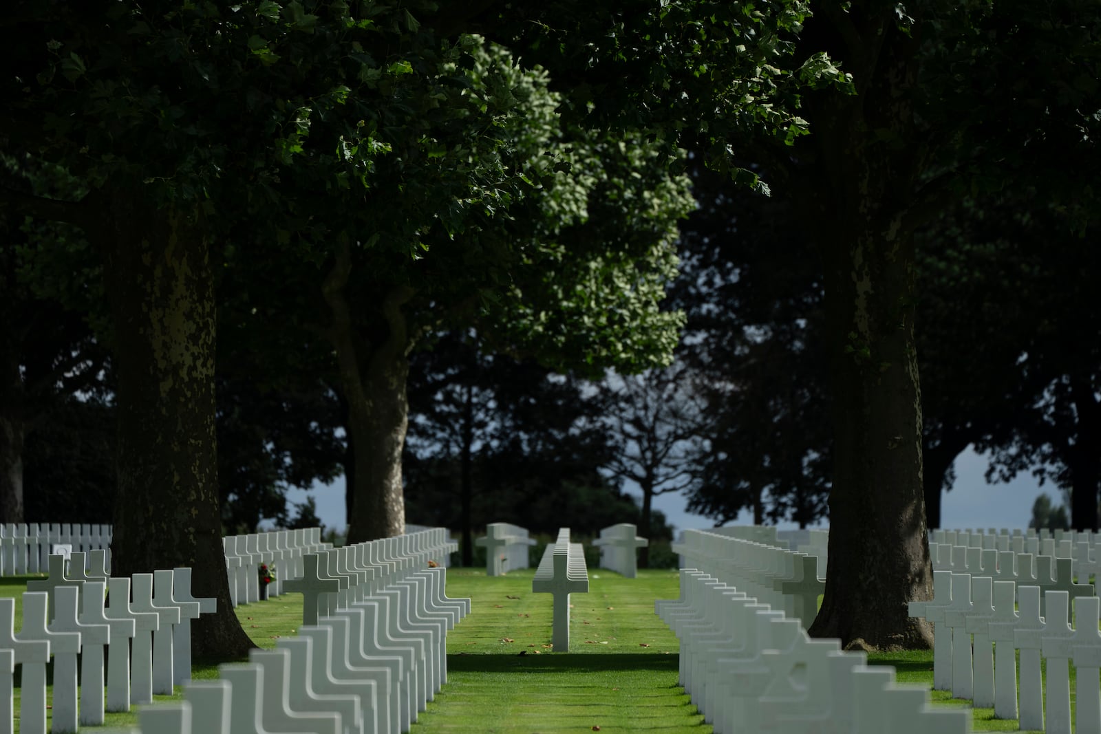 Eighty years after the liberation of the south of the Netherlands the sun illuminates some of the 8,288 crosses and Star of David headstones at the Netherlands American Cemetery in Margraten, southern Netherlands, on Wednesday, Sept. 11, 2024. (AP Photo/Peter Dejong)