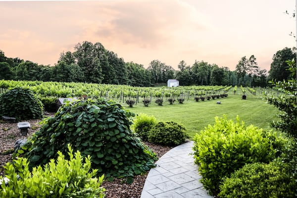 Natchez Hills Vineyard & Winery in Middle Tennessee produces Old World wines. 
Courtesy of Natchez Hills.