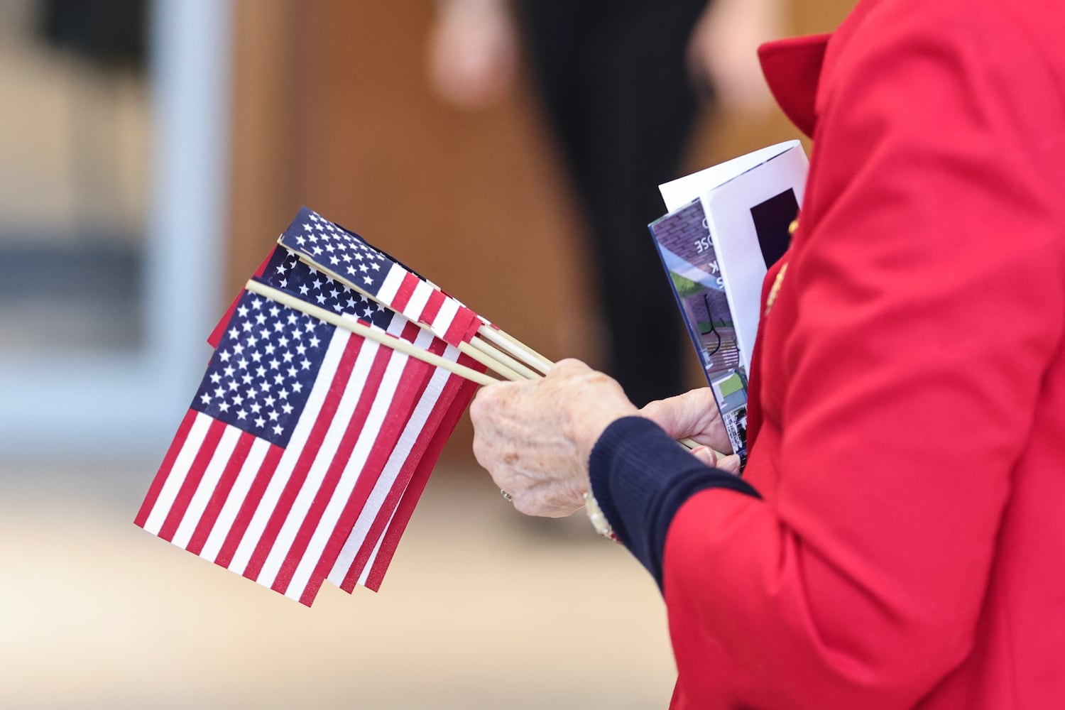 Sandy Springs Veterans Day 