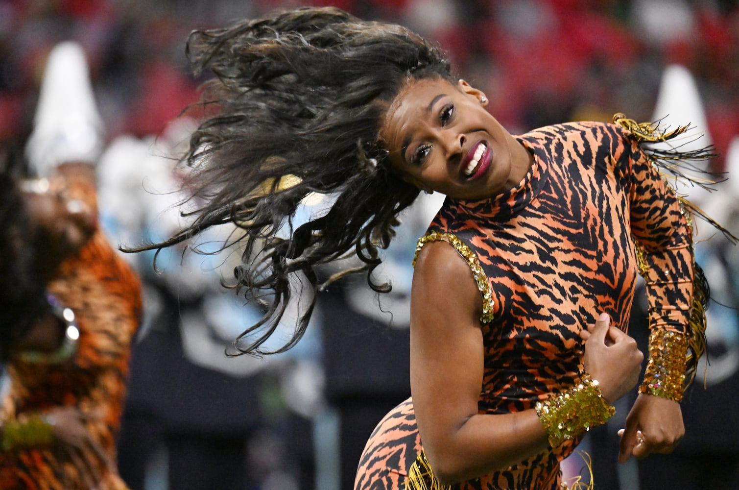 Celebration Bowl : Jackson State vs South Carolina State Cricket 