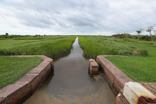 A dike and ditch system helps keep the low lying land dry around Fort Pulaski. The Army Corps of Engineers will be performing needed repairs and upgrades to the system.