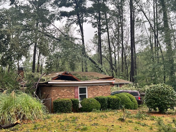 Downed trees in Augusta, GA following Hurricane Helene on September 27, 2024. (Photo Courtesy of Charmain Brackett)