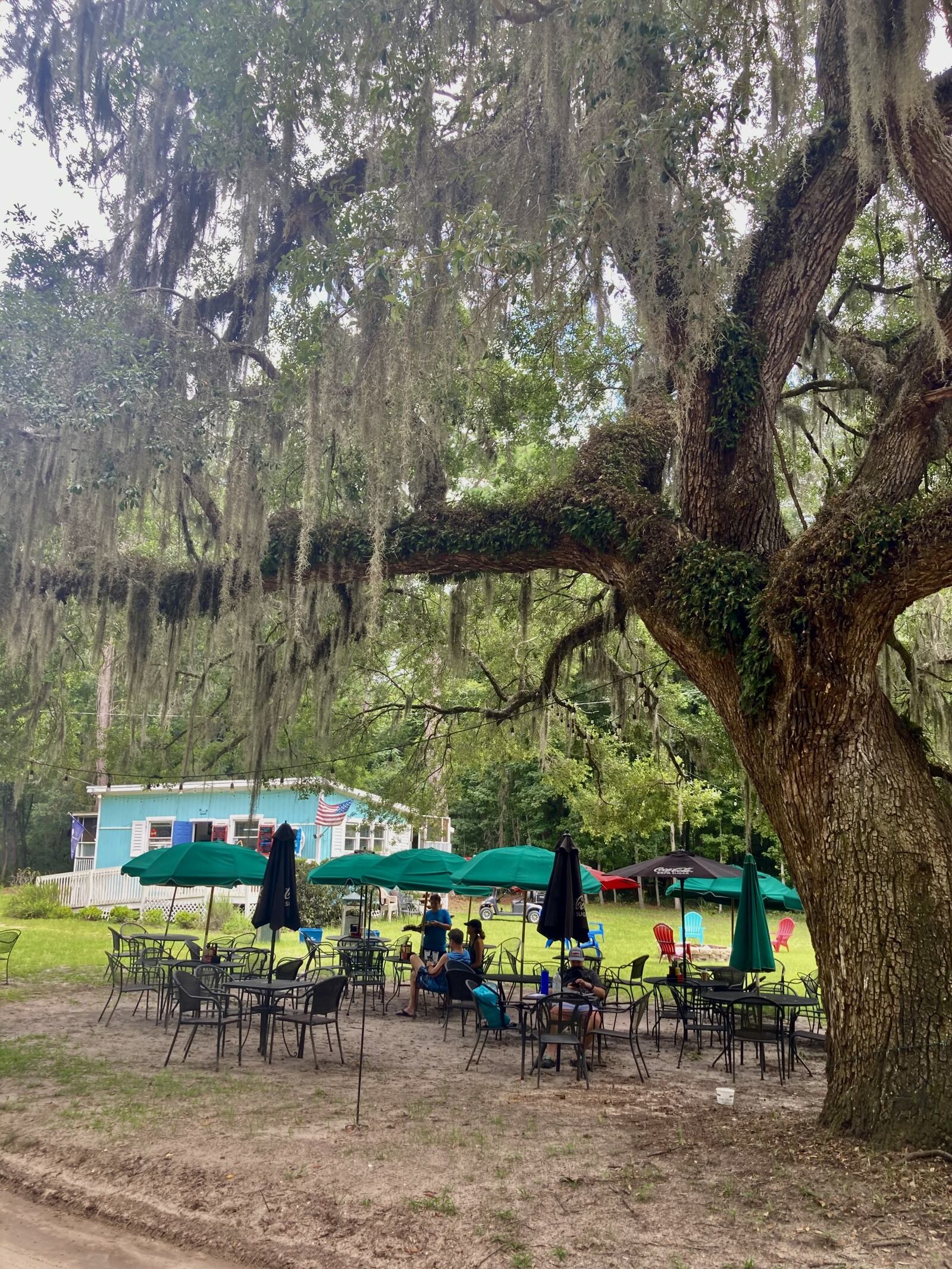 A 300-year-old oak tree shades diners at the Island Shack Cafe on Daufuskie Island. (Adam Van Brimmer/AJC)