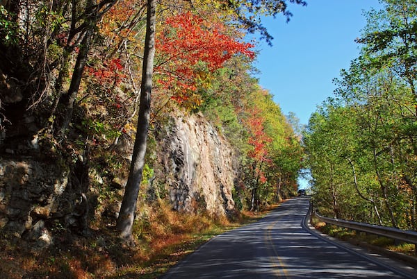 Driving around Amicalola State Park offers spectacular view of the changing leaves.CONTRIBUTED BY GEORGIA STATE PARKS