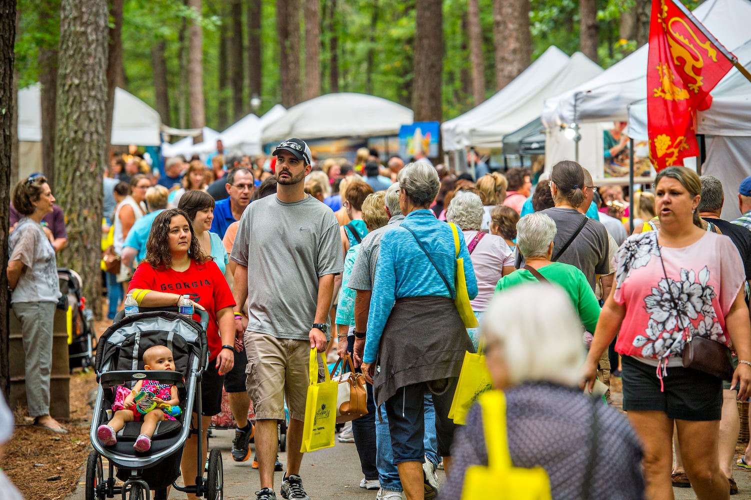 Yellow Daisy Festival at Stone Mountain Park