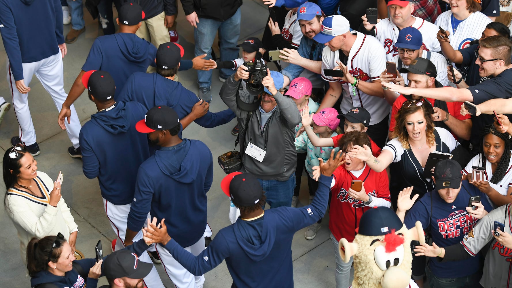 Atlanta Braves