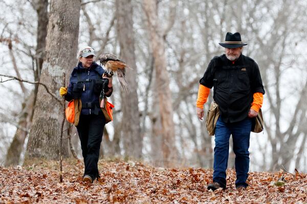 Falconry trainer Buster Brown of Georgia Mountain Falconry Academy walks with Lisa Fannon, carrying Roxy after spending half a day on a hunting session.
 Miguel Martinez / miguel.martinezjimenez@ajc.com