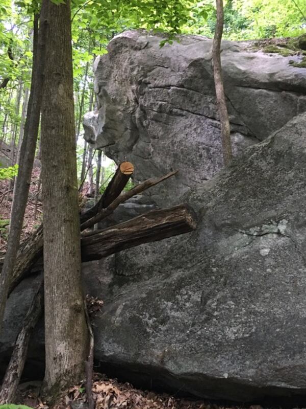 "With camera in hand, while accompanying my nephew on a 'boulder climb' at the foot of Yonah Mountain, I snapped a photo I named 'Napping Bear,' " wrote  Toni Jernigan. "News to me, the Cherokee word for bear is Yonah!"