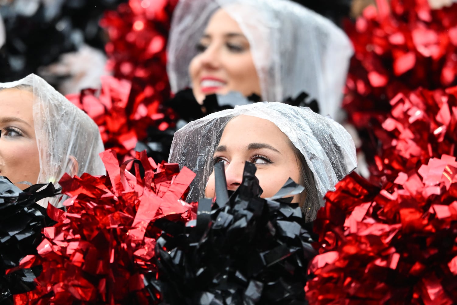 Georgia vs. South Carolina