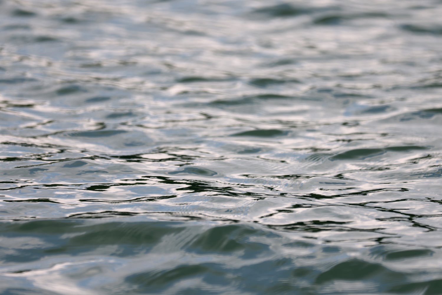 Water Safety Lake Lanier