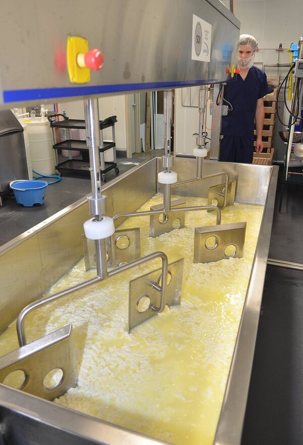 CalyRoad Creamery head cheese-maker David Rospond supervises the phase where large mixing paddles are used to further break up the curds and whey in the mozzarella mixture. (Chris Hunt/Special)