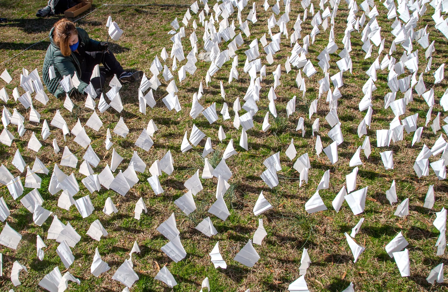 Decatur volunteers planting 15,000 (or 16,000)