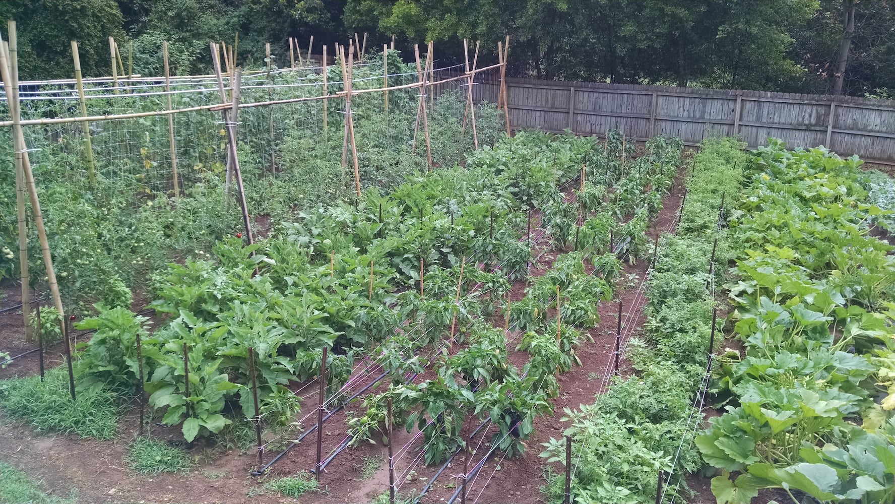 Freewheel 5 -- Urban farming in Atlanta