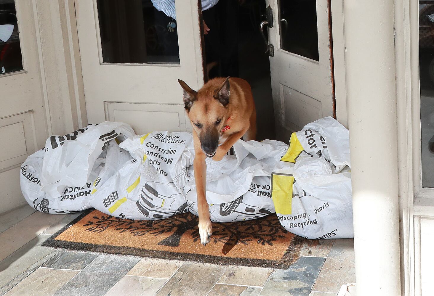 Photos: Coastal Georgians prepare for Hurricane Dorian