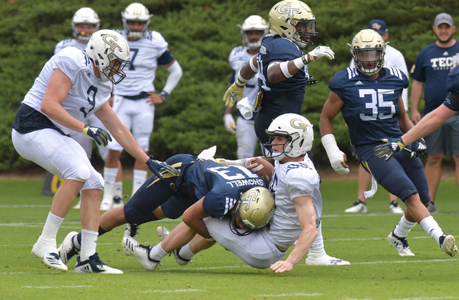 Georgia Tech Yellow Jackets