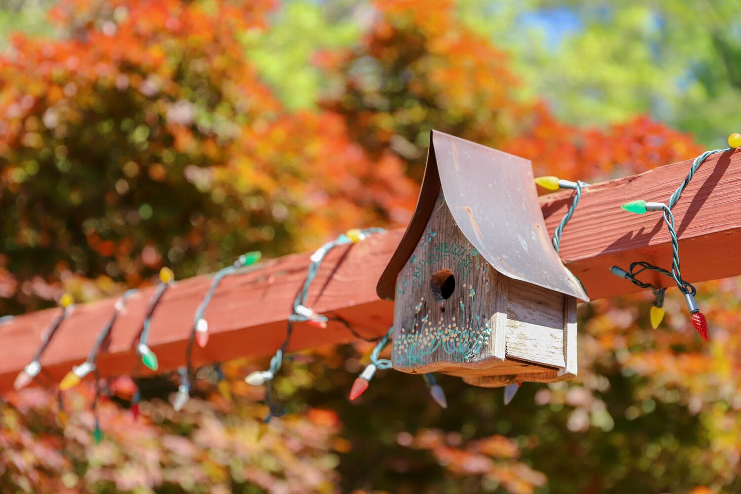 Photos: Cobb County home features whimsical garden as its backdrop