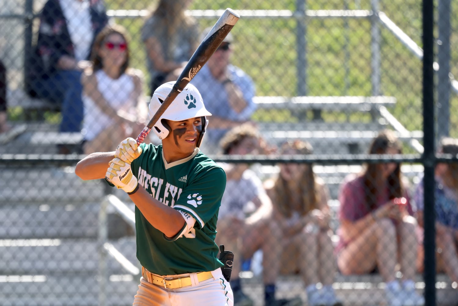 GHSA Baseball Playoffs