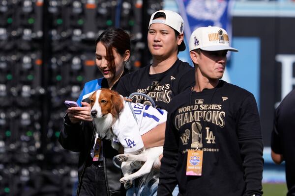 Los Angeles Dodgers' Shohei Ohtani holds his dog Decoy during the baseball team's World Series championship parade and celebration at Dodger Stadium, Friday, Nov. 1, 2024, in Los Angeles. (AP Photo/Mark J. Terrill)