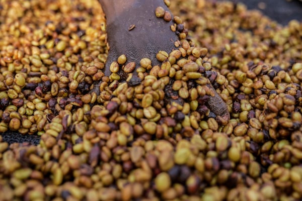 A worker turns excelsa coffee beans to dry near Nzara, South Sudan on Saturday, Feb. 15, 2025. (AP Photo/Brian Inganga)