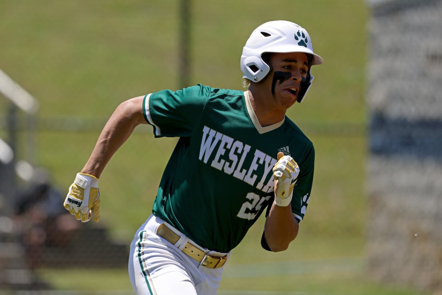 GHSA Baseball Playoffs