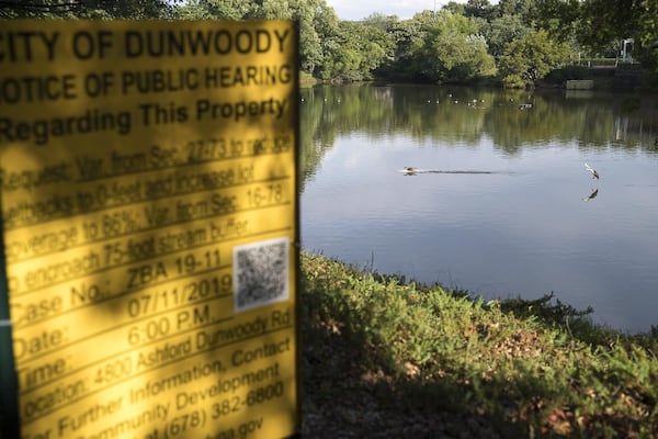 Ducks and geese swim in a pond in Dunwoody, Monday, June, 10, 2019. Developers plan to pave over the pond and building a shopping center. (Alyssa Pointer/alyssa.pointer@ajc.com)