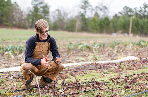 The typical CSA share helps a small local grower sustain the business until the crops are ready, at which time all the shareholders get a portion of the produce.