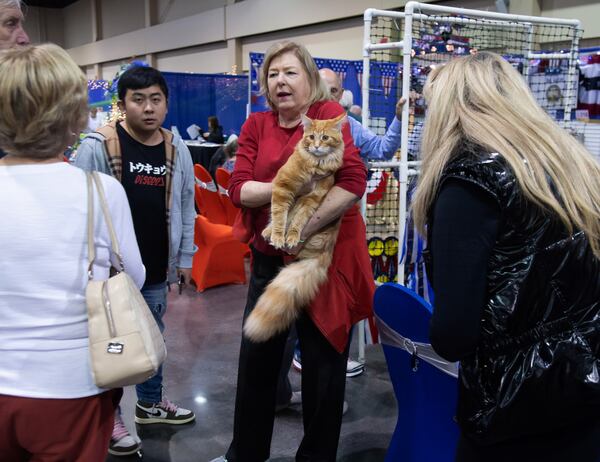 Nancy Rgrnett (C) talks about her Maine coon cat during the 81st annual Cotton States Cat Show at the  Infinite Energy Center in Duluth on Sunday, November 3, 2019. STEVE SCHAEFER / SPECIAL TO THE AJC