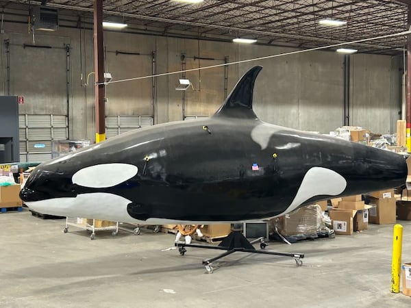 A life-size Orca whale is among the many unusual props from a major studio for sale starting Oct. 30, 2024 in Atlanta. PEACHTREE BATTLE ESTATE SALES