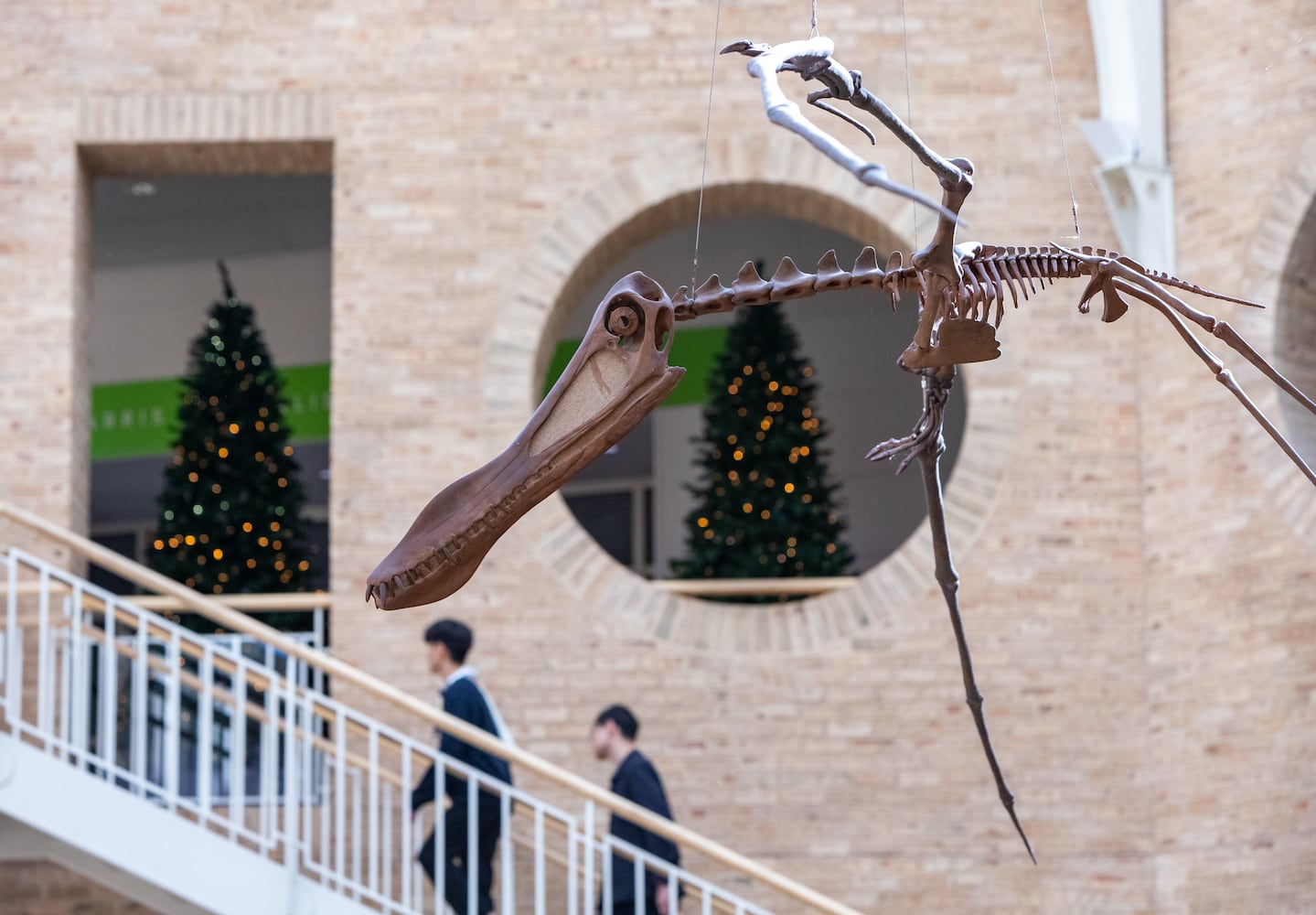 Fernbank Museum prepares for the 15th annual "Winter Wonderland" exhibit Saturday, Nov 16, 2024 where Atlanta cultural partners and representatives of 25 countries decorate Christmas trees for the holiday display. Exhibit opens November 23 and runs through January 12, 2025. (Jenni Girtman for The Atlanta Journal Constitution)